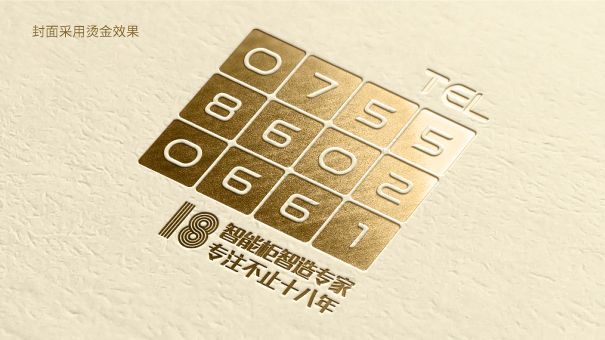 智萊科技 （視覺設(shè)計(jì)　保險(xiǎn)柜畫冊　宣傳手冊　電子畫冊）